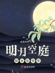明月如镜什么意思