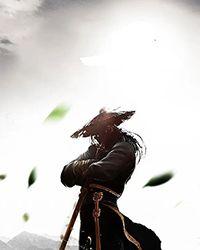 超级神龙养成系统简介