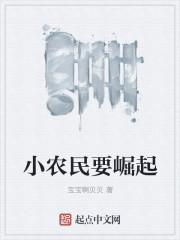小农民糸统