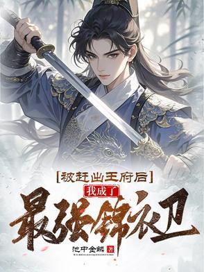 我成了最强锦衣卫动画