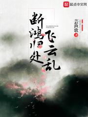 断鸿归处飞云乱的意思